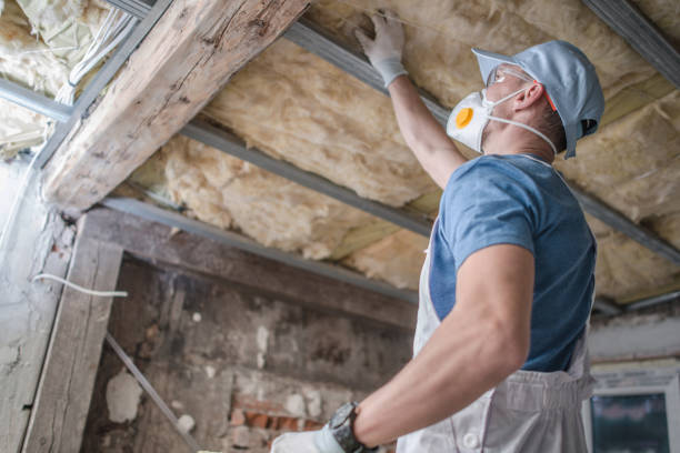 Best Specialized Insulation Services in Bear Creek, FL